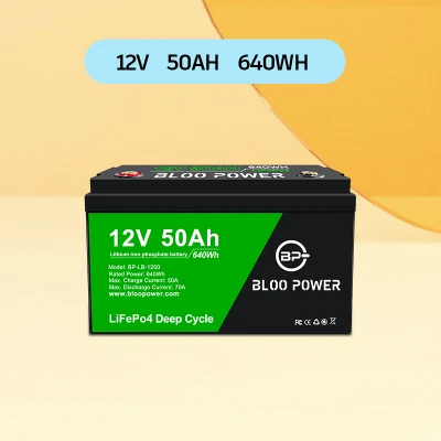 Wartungsfreies Bloopower-Solarpanelsystem mit LiFePO4-Stromversorgung für Outdoor-Werbetafeln, Innenleuchtkästen, Werbung, Familien-Backup, Backup-Lithiumbatterie