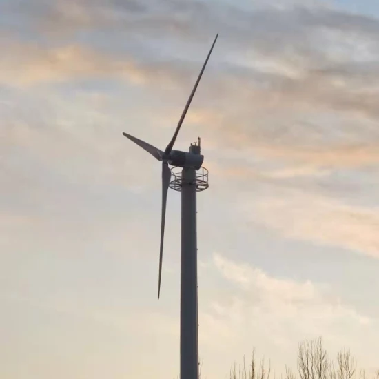 Chinesischer 100-kW-Windgenerator-Hersteller, Windmühle, Windkraftanlage, Windkraft-Hersteller, Windkraft